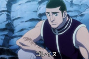 【朗報】「HUNTER×HUNTER」のゴレイヌさん、ゴンと同時期に初めてソロで50枚以上集めてしまう！！