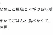【画像】えみつん、手作り晩御飯が家庭的だと話題にｗｗ