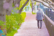 【速報】88歳女性につきまとった男をストーカー容疑で逮捕　