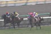 【競馬板】関東電車運休・・出勤に乗ってきたい競走馬