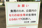 誰が食べるんだろう、、、お前らが笑ったコピーをぺーinばいくちゃんねる板