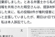 【悲報】暇空茜、過去最大級の敗訴！アンチ（弁護士なしの本人訴訟）を8件訴えるも、1日で全部棄却