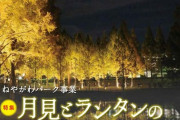 寝屋川市で行われる月見とランタンの夕べ2023に注目！