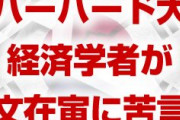 米ハーバード大教授が韓国政府に苦言「所得主導成長をやめろ。過去を無駄にしている」　　文在寅どうすんのこれ…