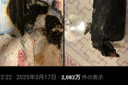【悲報】X民「スマホ充電したまま寝た結果www」