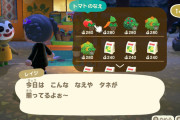 【あつまれどうぶつの森】パニーの島の商品、毎日同じなんだけど…