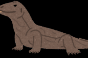 【衝撃】コモドドラゴンというガチでヤバい生物