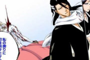 【BLEACH】朽木白哉「斬魄刀戦術の最終奥義、四大貴族でもそこに至るのは数世代に1人…それが卍解だ」