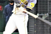 阪神ドラ1佐藤に“広島の呪縛”と折れたバットの可能性
