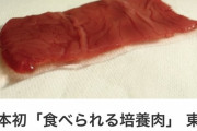 【画像】培養肉、ついに実用化へｗｗｗｗｗｗｗｗｗ