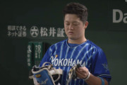 【牧】大卒1年目に20本塁打以上打った選手一覧【佐藤】