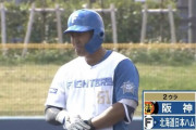 【vs.阪神オープン戦】日ハム、2回に今川のタイムリーツーベースで1点を返す！