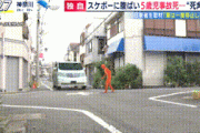 【GIF】この絶望的な危機を回避する方法ｗｗｗｗｗｗｗｗｗ