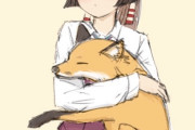 【艦これ】風雲のキツネってここからなのね