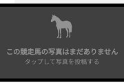 ●サッカー関連の馬名→サッカーボーイ、オフサイドトラップ、ペルーサ