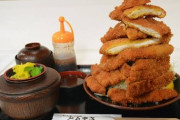 【画像】トンカツ定食を「完食」する為の攻略法