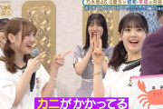 偶然ダジャレになってしまった筒井あやめちゃんが可愛すぎるｗｗｗ【乃木坂46】