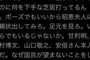 【イミフｗ】立川談四楼「ゴーン妻キャロル夫人に逮捕状。ポーズでもいいから昭恵夫人に逮捕状出してみろ」