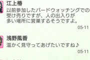 【緊急ウルトラ超得スーパー激ヤバマル秘スゴイ驚愕ハッピー】事務所にツバメの巣ができたぞ！！！やったぜ！！！鳥だ！！！！！