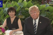 【朗報】安倍トラ、昭恵夫人へ引き継がれる