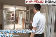 副校長、中学校に侵入してきたクマの前に立ちはだかり生徒を守る
