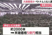 末端価格5億円、国内最大規模の大麻栽培工場を摘発