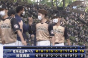 日ハム今季初の2桁得点＆日曜白星！アーリンが5回無失点の好投で来日初勝利！西川が3安打4打点の大活躍！