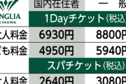 【悲報】ディズニーランドさん、余りの猛暑でコロナ禍以降はじめての入園者減少……………