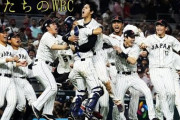 今回のWBCのドキュメンタリー映画あったら見にいく？