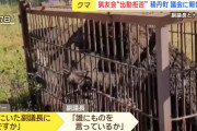 副町議員「熊の駆除に出動すると金になるんか！」猟友会「出動拒否」