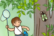【画像】新種のセミ見つけた結果ｗｗｗｗｗｗｗｗｗｗｗｗｗｗｗｗｗｗ
