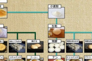 一生カレーしか食べられないVS一生ラーメンしか食べられない