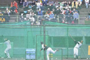 阪神・大山＆佐藤輝　秋季キャンプランチ特打で競演　ラスト一発締めに観客も拍手