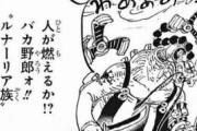 【朗報】ワンピースさん、伏線回収へｗｗｗｗｗ