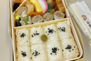 横浜ワイ「うっわ…焼売弁当て地味やな…もう買わんわ…」1ヶ月後横浜ワイ「焼売弁当買うか…」