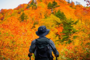 登山者が使うステッキってどんな効果があんの？