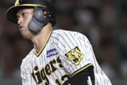 阪神・坂本誠志郎の6月成績wwwwwwwwwwwwww