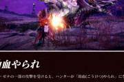 【モンハンライズ】劫血やられはこんな感じか