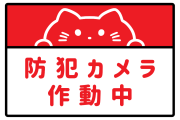日本の会社がネコの見守りカメラを設置した結果！とんでもない光景が撮影されてニヤけてしまう！【タイ人の反応】
