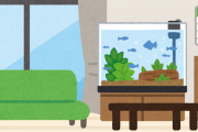 部屋の中に水槽を置いてアクアリウムをセッティングしたいんだけど気をつける事ってあんのかな？？？？