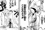 【疑問】ワンピースの敵「自分の能力の説明しなきゃ…」←これｗｗｗ