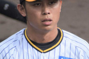 阪神「ドラ1」高山俊、トライアウトで活躍もNPBオファーが来ない謎