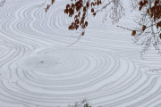 氷の枯山水にも見える！アラバマ州で発見された美しい氷のミステリーサークル