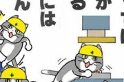 現場猫「どうすりゃいいんだ・・・」