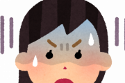 【悲報】子供に「あれは送り火だよ。」と言った結果、大変なことにｗｗｗｗｗｗｗｗｗｗ