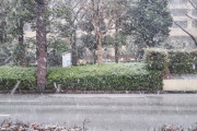【悲報】雪、またザコで終わる