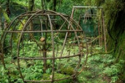 緑に飲み込まれていく「人の痕跡」が退廃的で美しいと話題に
