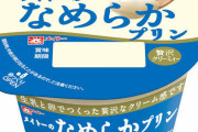 【朗報】一番好きなプリン、なんJ民の87%が一致する