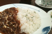 【悲報】ハヤシライスとかいうカレー界の面汚し、おいしくない