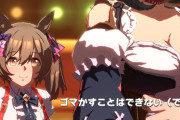 【ウマ娘】賢さが全然盛れないんだけどみんなはどうやって育成してるの？